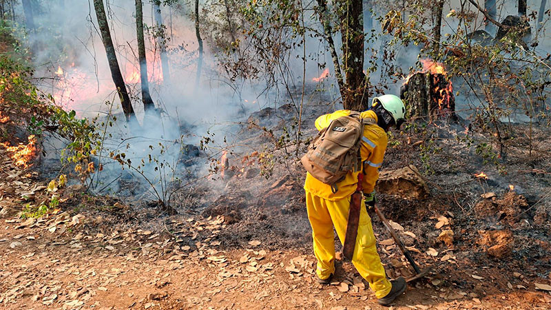  Incendio en Área Natural Protegida de Tzitzio, controlado al 100% 