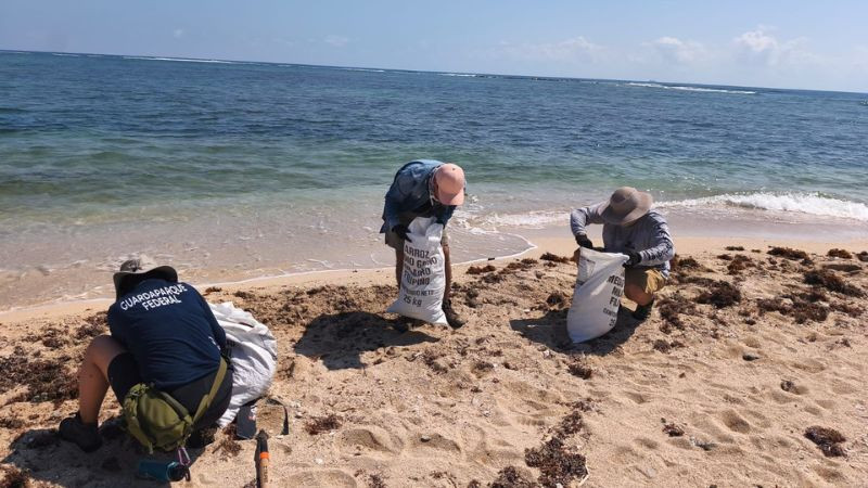 Realizan labores de limpieza en Isla Verde, Veracruz, tras presencia de hidrocarburos 