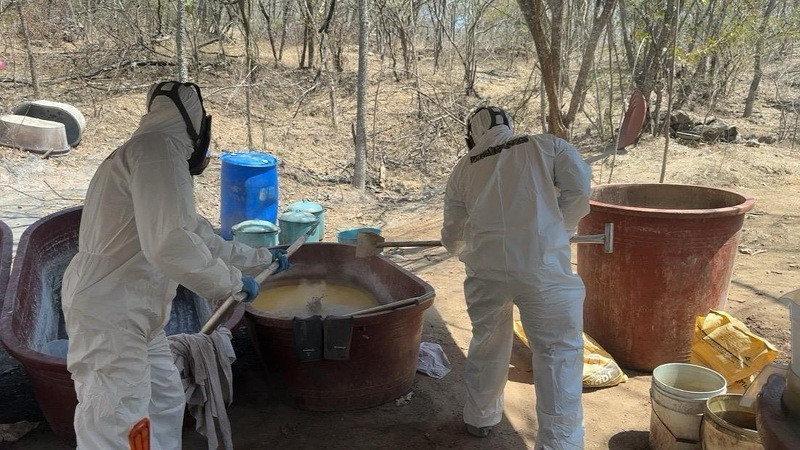 Elementos de la Marina localizan y desmantelan laboratorio clandestino en Sinaloa 