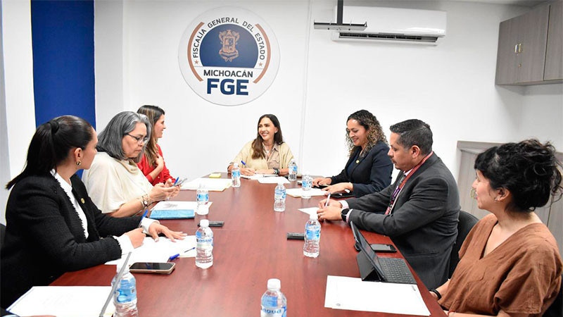 Promueve la FGE de Michoacán la coordinación interinstitucional para reforzar estrategias de protección a niñas, niños y adolescentes 