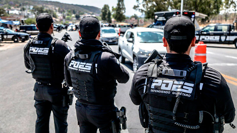 Aseguran estupefacientes en operativo de la PoEs en la carretera a San Miguel de Allende 