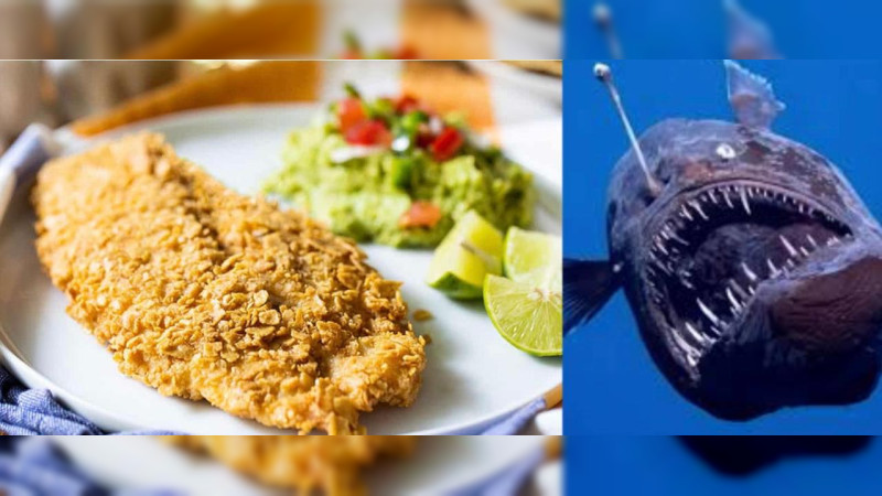 Pescado “pirata” inunda las mesas de México: fraude de peces “falsos” afecta a 4 de cada 10 mexicanos 