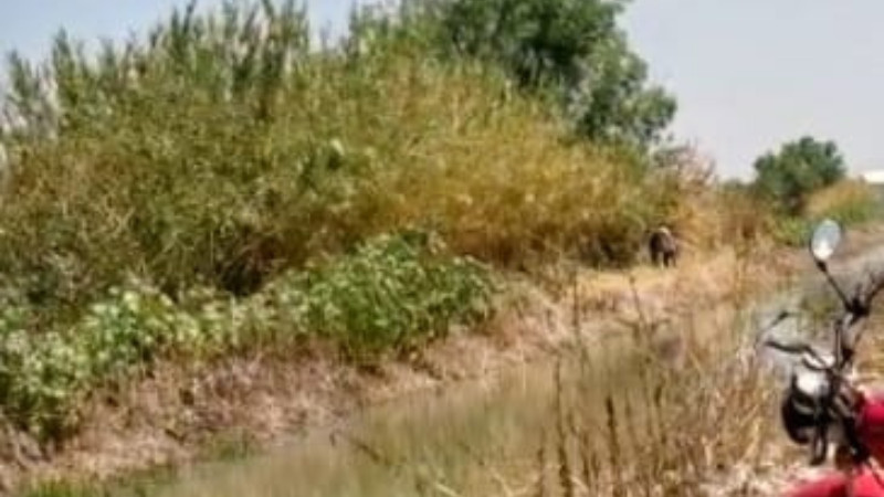 Hallazgo en canal desata investigación: mujer es encontrada sin vida en Salvatierra, Guanajuato  