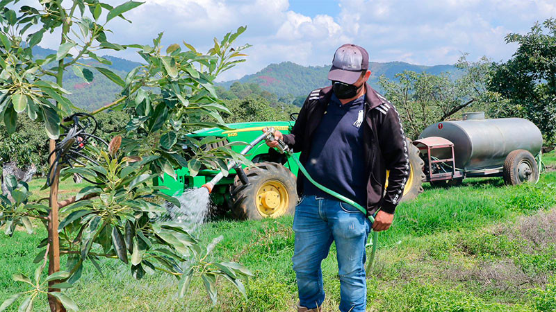 Apoyados en Michoacán más de 88 mil productores del campo: Bedolla 