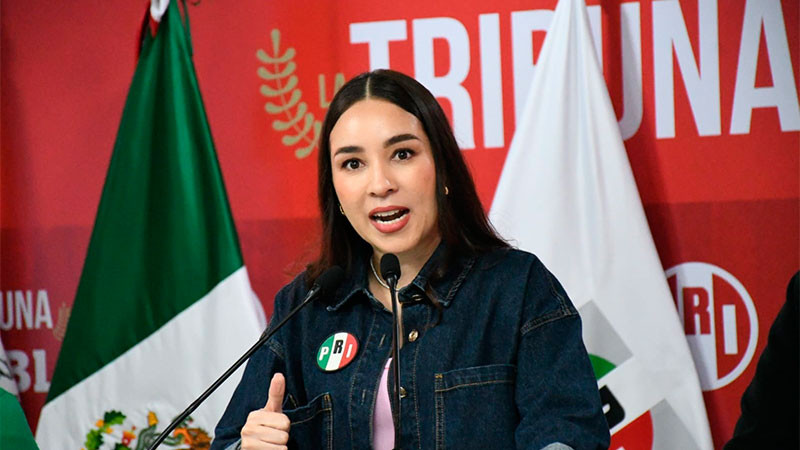 Morena ignora la ayuda internacional en tema de desapariciones: PRI 