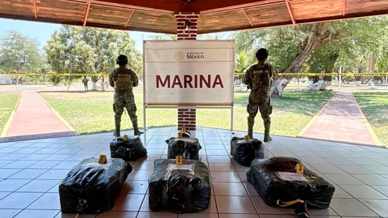 Aseguran más de 250 kilos de estupefacientes con valor de 56 mdp, en costas de Michoacán 