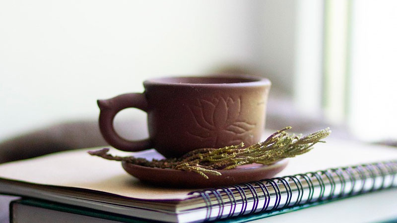 Al menos 41% de mexicanos recurre a remedios caseros y automedicación, revela encuesta 