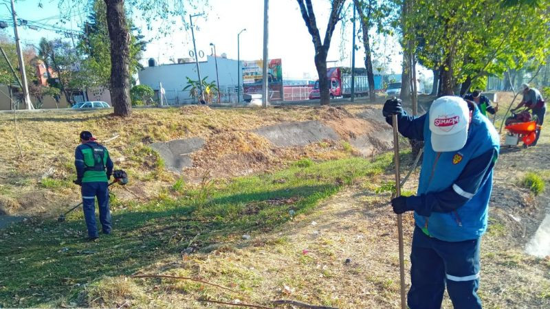 Gobierno de Morelia trabaja por una ciudad más verde y ordenada 