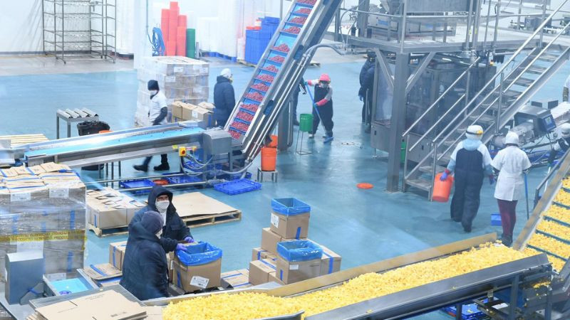 Michoacán alcanza cifra histórica de más de 505 mil empleos formales en marzo 