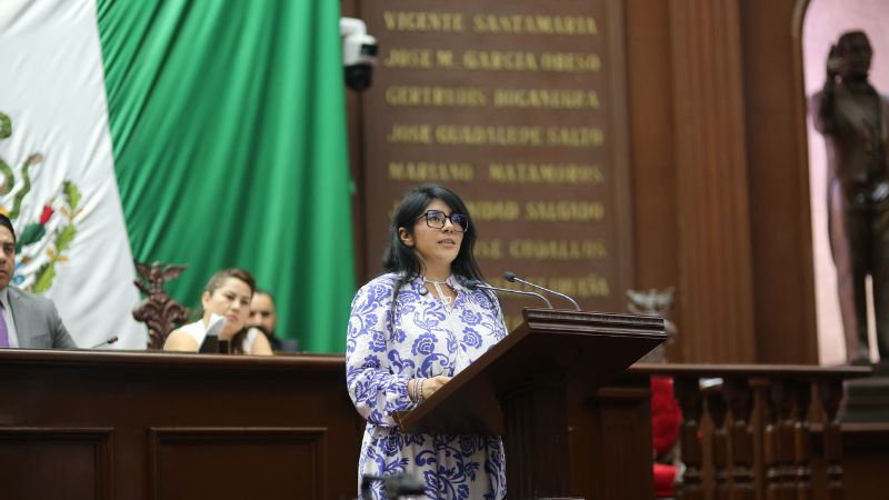 Priorizar a menores de edad en emergencias en Michoacán, plantea Vanhe Caratachea  