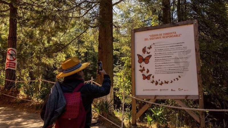 Sectur convoca a jornada estatal del Registro Nacional de Turismo en Michoacán 