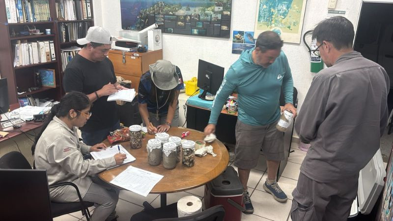 Realizan muestreos en playas y arrecifes de Veracruz para evaluar el entorno marino 