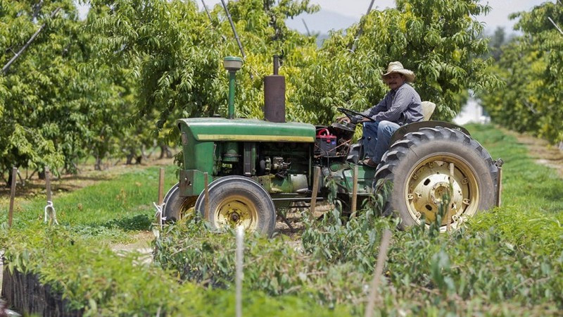 Se registra peor saldo comercial agroalimentario al primer bimestre en una década 