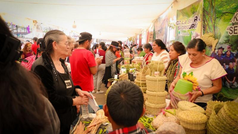 En 2026 Sembrando Vida ha incorporado a 8 mil campesinos más para fortalecer la paz en Michoacán 