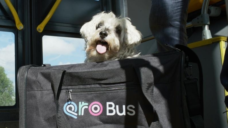 Anuncia Cuanalo Santos jornada de afiliación de mascotas al programa PetFriendly del sistema Qrobus 