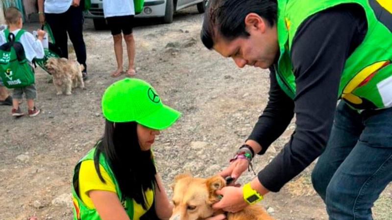 PVEM Michoacán, a través de su Secretaría de Medio Ambiente, llama a reforzar el cuidado animal por temporada de calor 