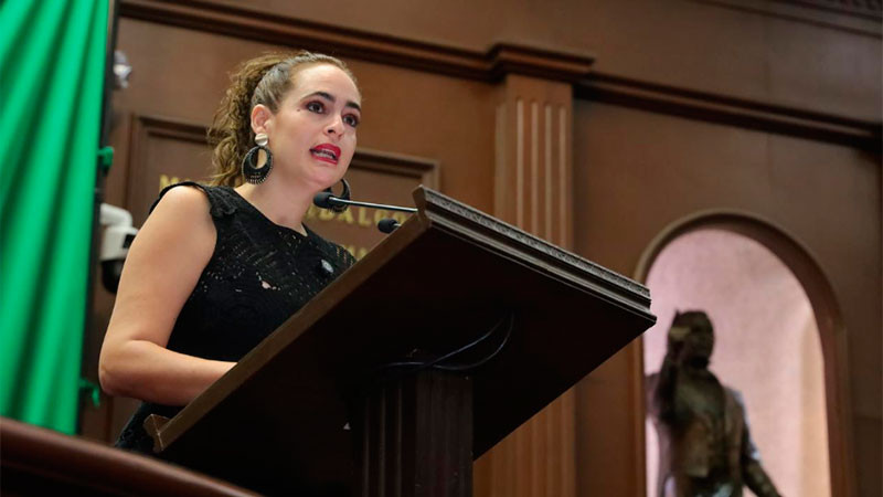 Exige GPPVEM protección urgente para defensoras y defensores ambientales ante ola de agresiones  