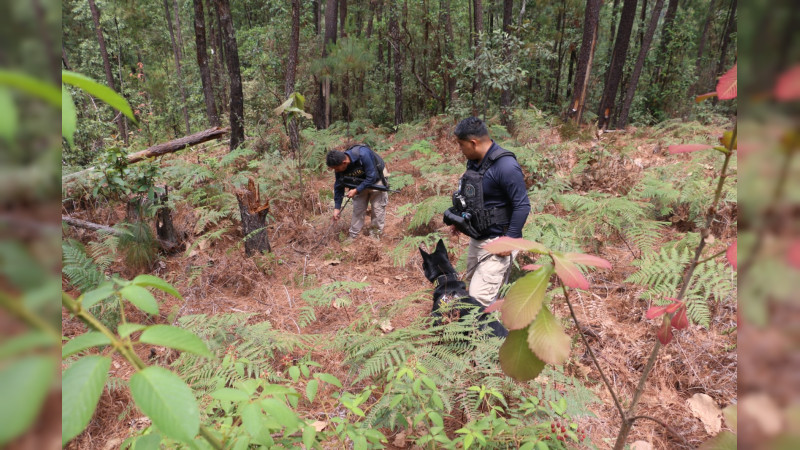 Tras denuncia de ambientalistas, la FGE despliega operativo terrestre y aéreo en Villa Madero, Michoacán