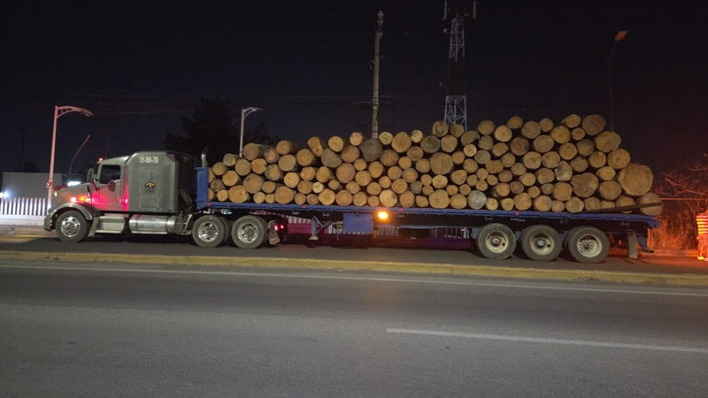 En Morelia, Michoacán, aprehenden a un hombre por transporte ilegal de madera 