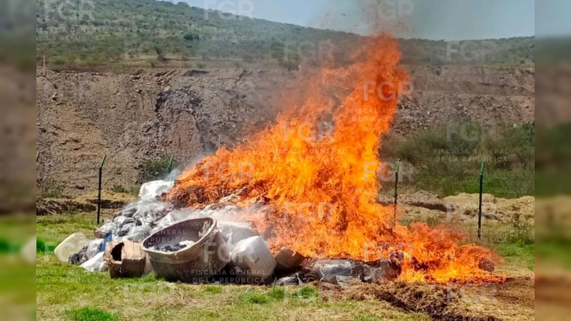 FGR destruye más de cinco toneladas de estupefaciente asegurado en Michoacán 