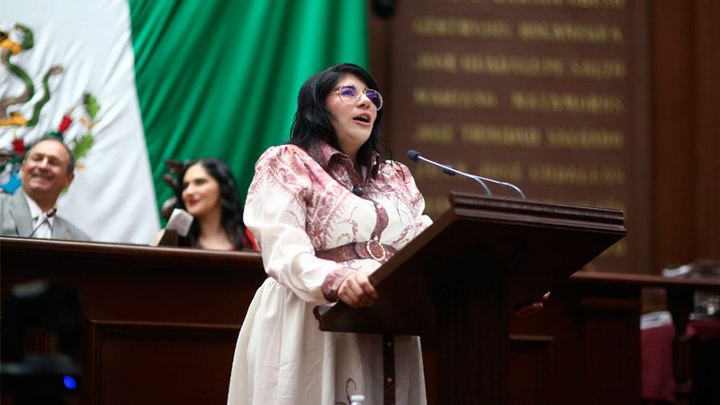 Que niñas, niños y adolescentes mantengan contacto con seres queridos que no tengan la custodia: Vanhe Caratachea 