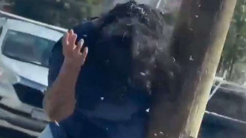 Mujer sufre más de 200 picaduras tras ataque de abejas en Culiacán 