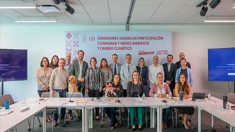 Impulsa Perla Flores agenda para el bienestar animal en Querétaro 