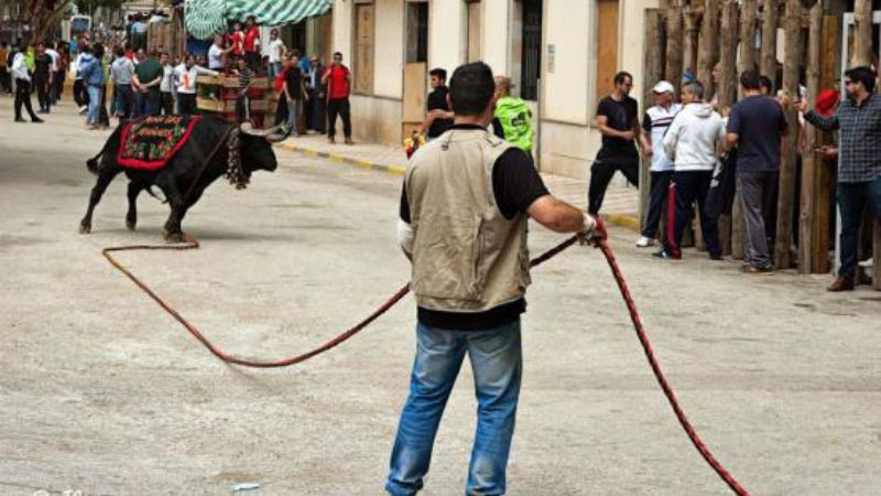 Fallece hombre tras ser corneado durante festejos de San Marcos en España 