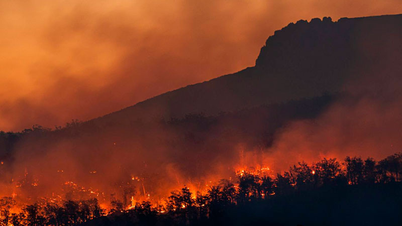 Cambio climático puede elevar en un 15% tasa de mortalidad en México, asegura estudio 