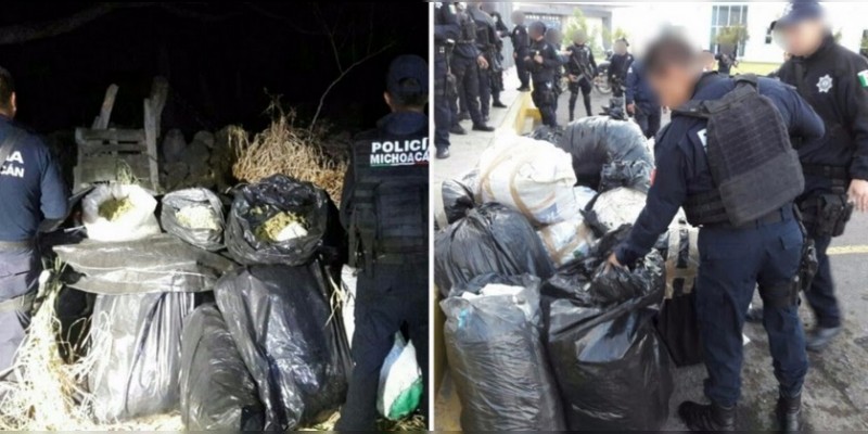 Aseguran casi 350 kilos de mota en Lázaro Cárdenas y Jacona - Foto 1 