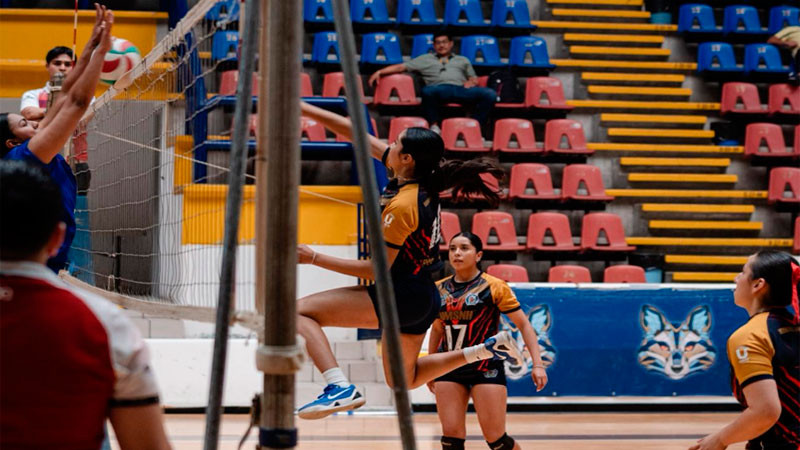 Voleibol femenil de sala de la UMSNH apuesta a llegar a la Universiada Nacional