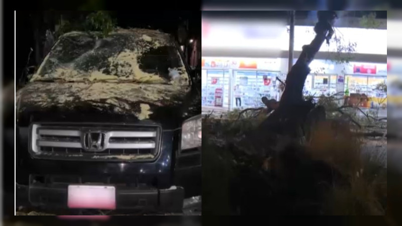 Vientos nocturnos provocan caos en CDMX: árboles caídos, apagones y un hombre herido 