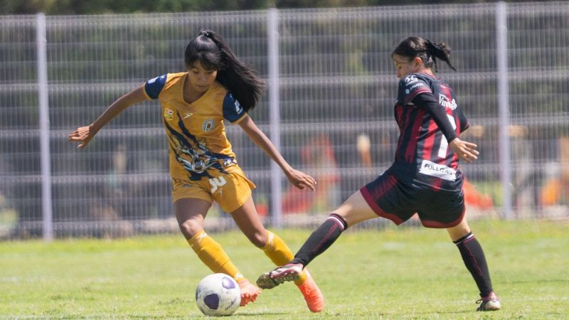 Atlético Morelia-UMSNH femenil visita a Tigres de Álica en cuartos de final de la Liga TDP 