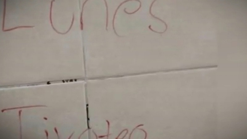 "Es un error grave": CNTE Michoacán denuncia exclusión en protocolos de seguridad pese a violencia en aulas 