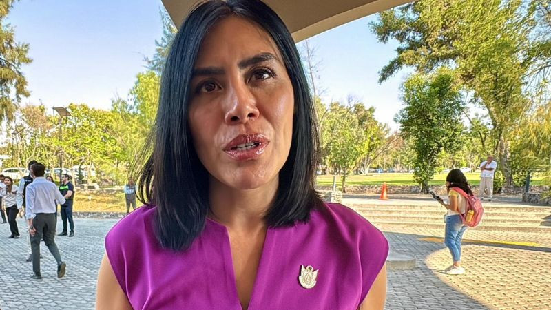 Se han creado más de 14 mil empleos formales en el año en Querétaro: Liliana San Martín  