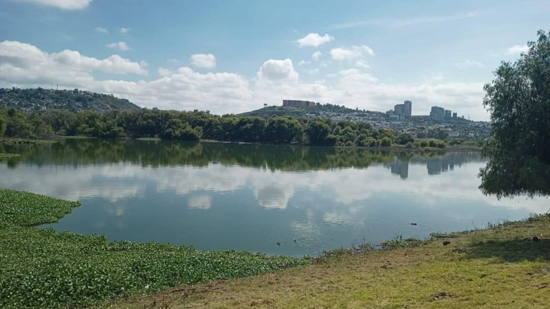 Realizan limpieza y control de mosquitos en Querétaro 2000 