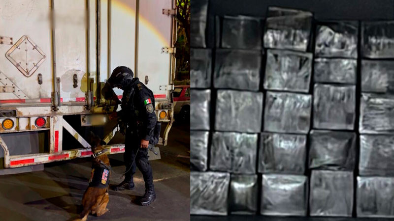 Decomisan más de una tonelada de estupefacientes en CDMX; estaban ocultos en cajas de huevo 