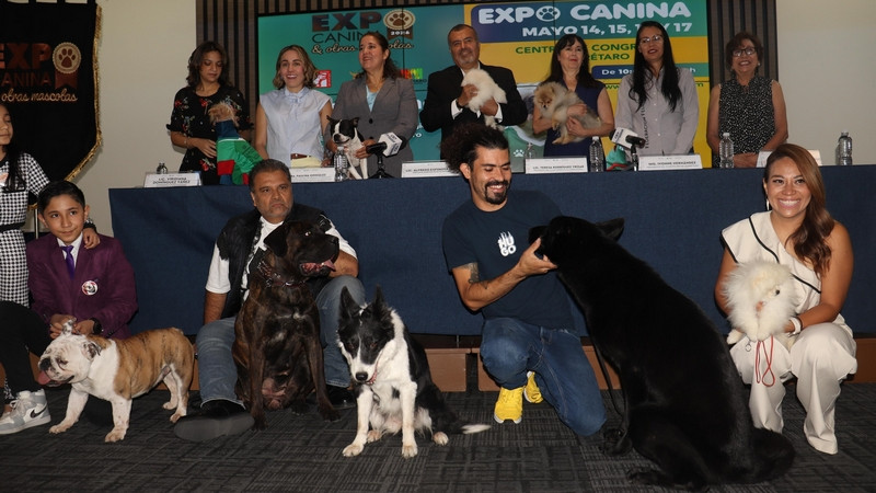 Alistan Expo Canina y otras mascotas 2026 en el Querétaro Centro de Congresos 