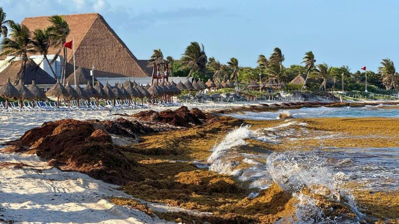 Protección Civil alerta por efectos del cambio climático y fenómeno de “El Niño Godzilla” 