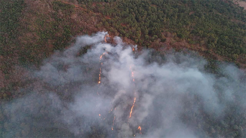 Helibalde suma 14 mil litros de agua para sofocar incendio forestal en Pátzcuaro: Bedolla  