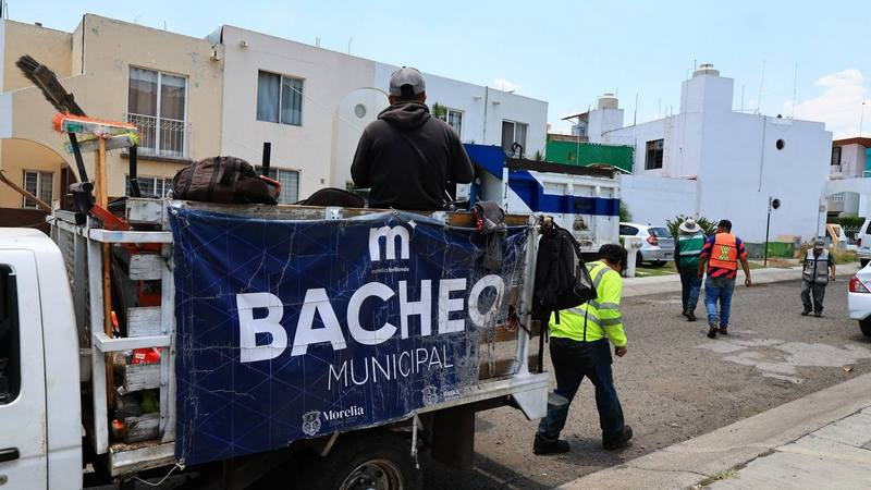 Gobierno de Morelia encabeza poda y mantenimiento de espacios para la ciudadanía 