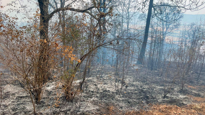 Incendio forestal en el Cerro del Estribo controlado en un 80% 