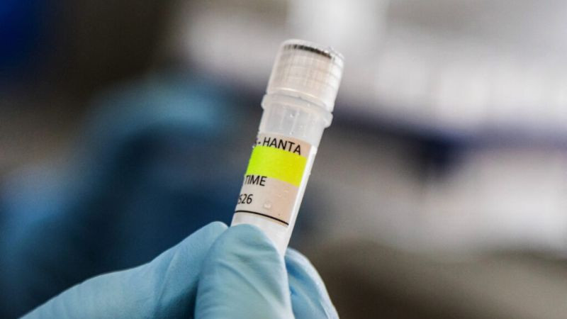 OMS descarta riesgo de pandemia por brote de hantavirus en crucero 