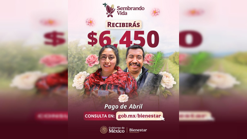 Realiza Sembrando Vida el pago del jornal a 415 mil 499 sembradoras y sembradores del país 