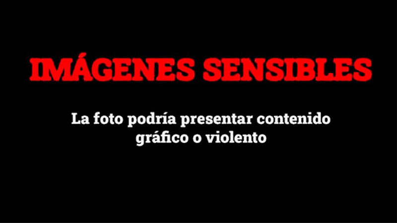 Bomberos rescatan a dos perritos con vida de una pileta en Zitácuaro; hallan otros seis sin vida
