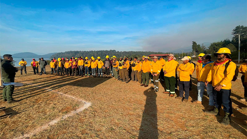Con apoyo aéreo, 149 brigadistas combaten incendio forestal en Salvador Escalante: Cofom 