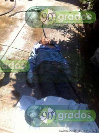 Enjambre de abejas ataca y mata a hombre en Nueva Italia, Michoacán 