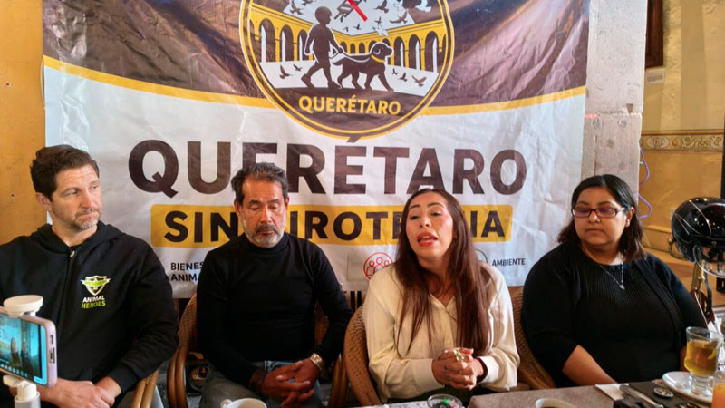 Presentarán a cabildo queretano Ley Diana, para prohibir la pirotecnia en eventos públicos 