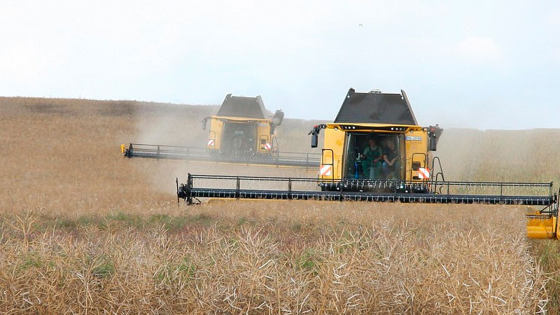 Gobierno de México condona adeudos de más de 41 mil productores nacionales 