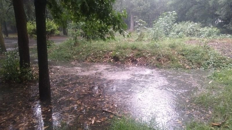 Cierran Viveros de Coyoacán por aumento en niveles del Río Magdalena tras fuertes lluvias 